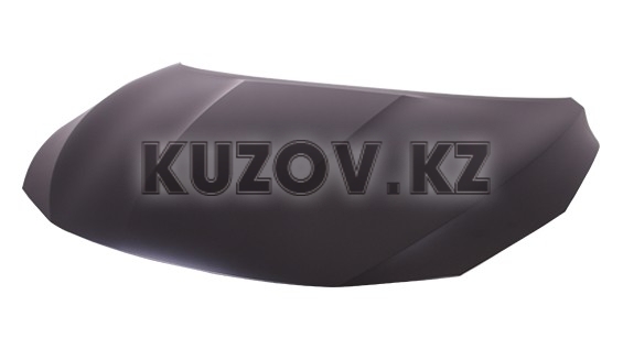 КАПОТ (USA) 2016-2019